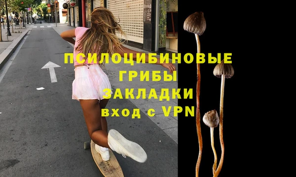 МДПВ Михайловка