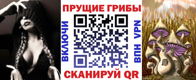 купить закладку  Киренск  Галлюциногенные грибы MAGIC MUSHROOMS 
